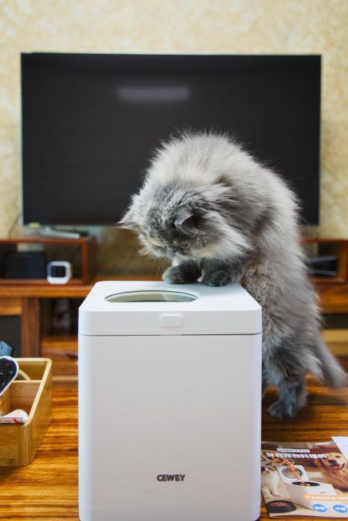 宠物健康饮食新选择CEWEY F10宠物料理机引领鲜食风潮(图6)