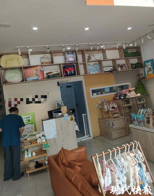 九游体育：宠物粮宣传含鲜肉实际用鸡肉粉代替江苏省消保委发布宠物经济消费调查(图3)