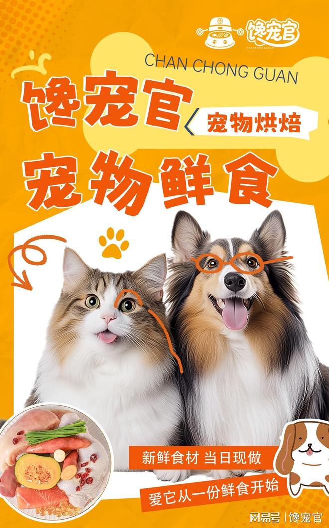 馋宠官宠物鲜食：用新鲜与健康点亮毛孩子的餐桌时光(图2)