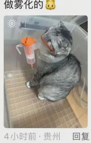 新型「销金窟」捞了中国人3000亿？(图4)