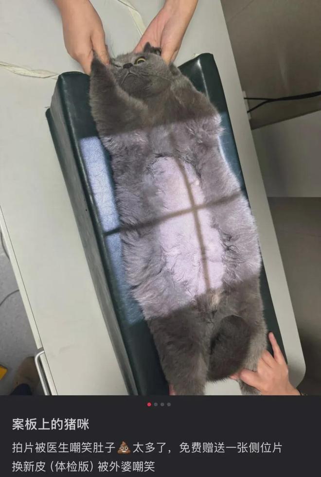 新型「销金窟」捞了中国人3000亿？(图3)