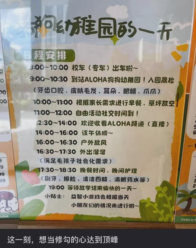 新型「销金窟」捞了中国人3000亿？(图8)