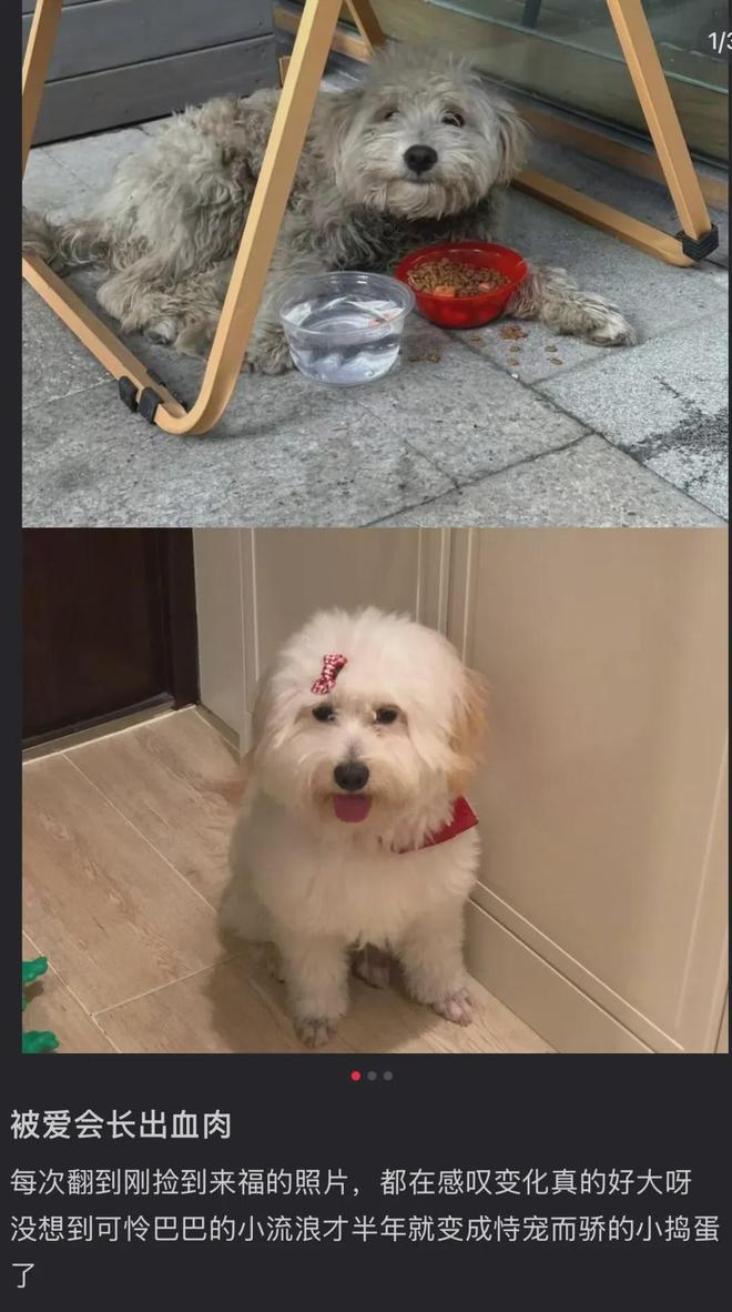 新型「销金窟」捞了中国人3000亿？(图10)