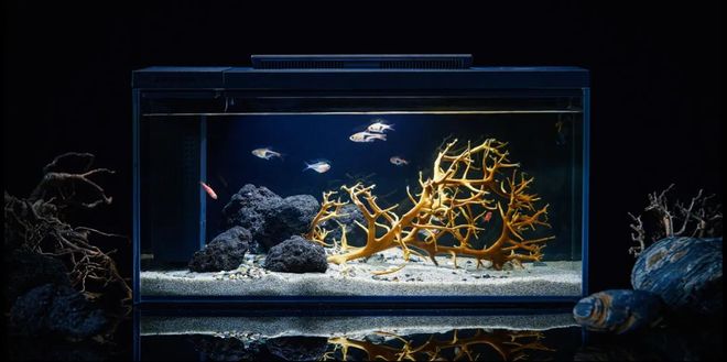 10亿之后踩坑复盘：我为什么决定“做窄” 对话PETKIT小佩CEO(图6)