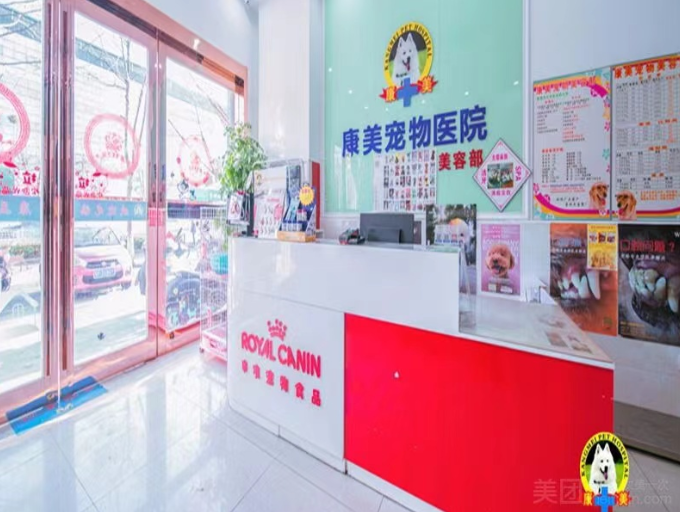 2025宠物医院权威推荐榜：南通康美优质服务与专业诊疗的放心之选守护爱宠健康(图2)