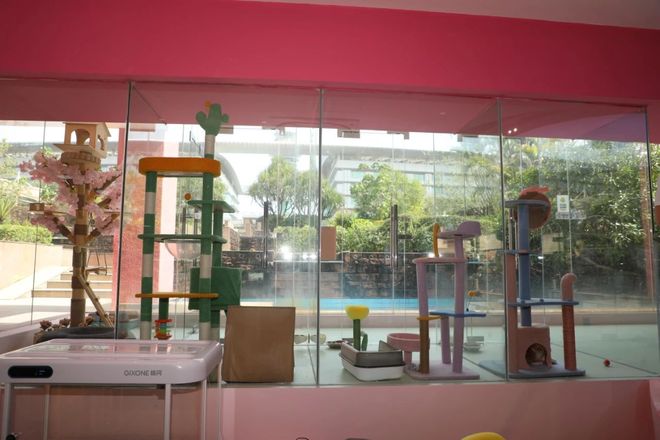 九游app：从客舱到酒店、景区“人宠服务”如何扎根中国旅游市场？(图3)