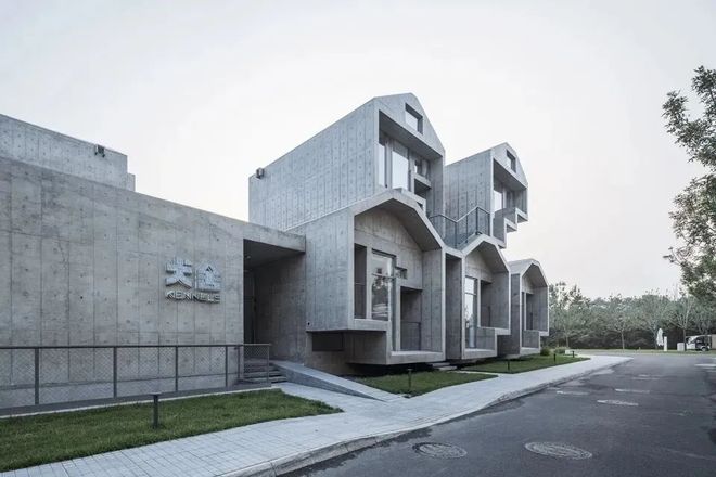 九游app：从客舱到酒店、景区“人宠服务”如何扎根中国旅游市场？(图8)