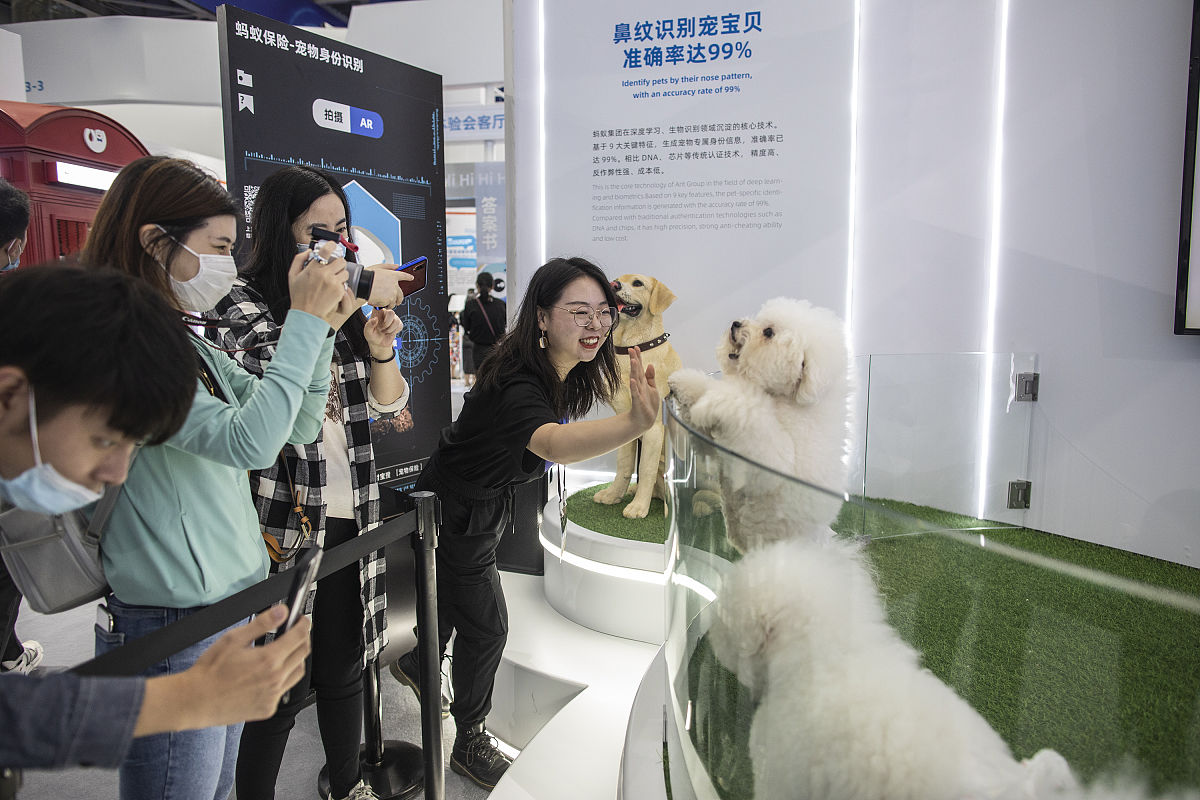 2025年宠物健康市场趋势洞察(图1)