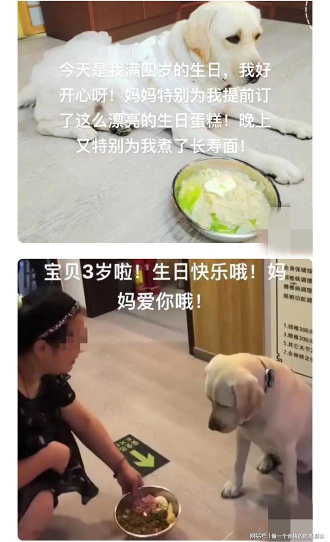 九游官网入口：导盲犬芬迪后续：接回视频曝光说芬迪“破孩子” 再引众怒(图3)