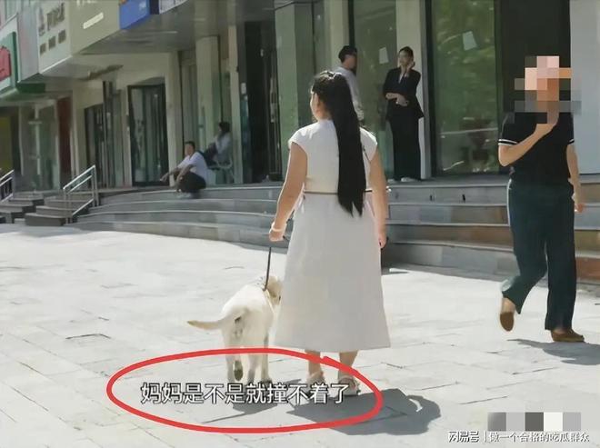 九游官网入口：导盲犬芬迪后续：接回视频曝光说芬迪“破孩子” 再引众怒(图6)