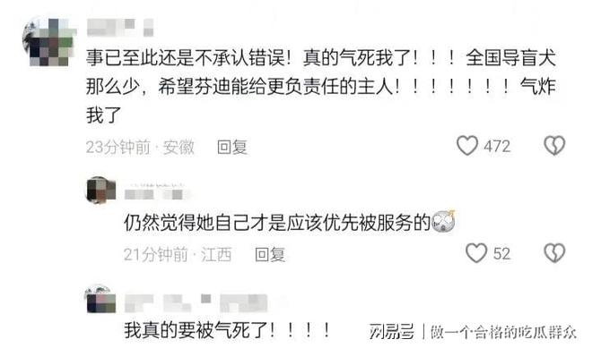 九游官网入口：导盲犬芬迪后续：接回视频曝光说芬迪“破孩子” 再引众怒(图10)