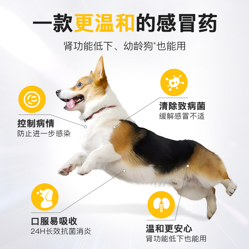 宠物健康赛道能成为超越主粮的下一个增长极吗？(图1)