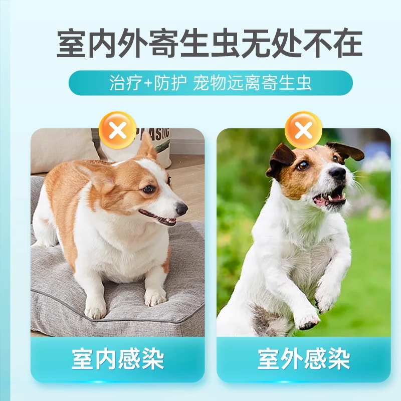 九游体育：宠物AI？2025养宠黑科技全面来袭(图1)