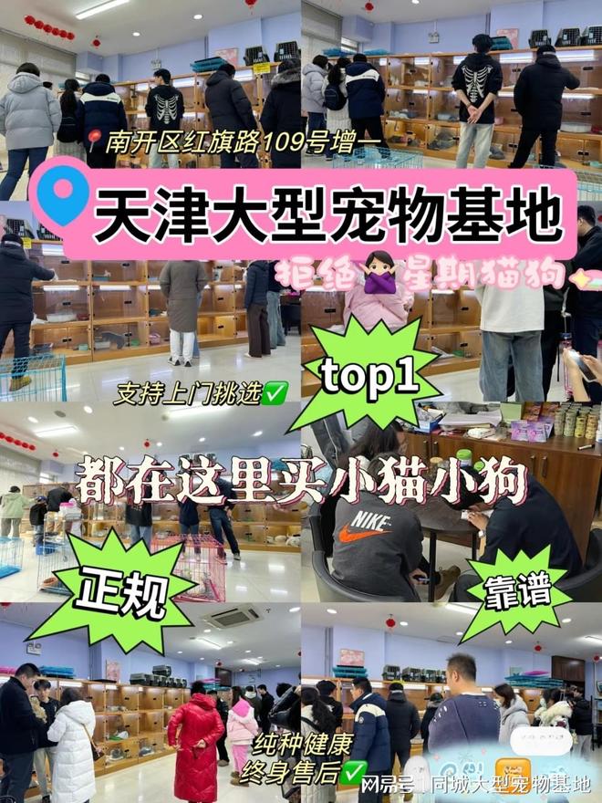天津口碑好的宠物店在哪里？实地探访这确保安全选购您的爱宠(图1)