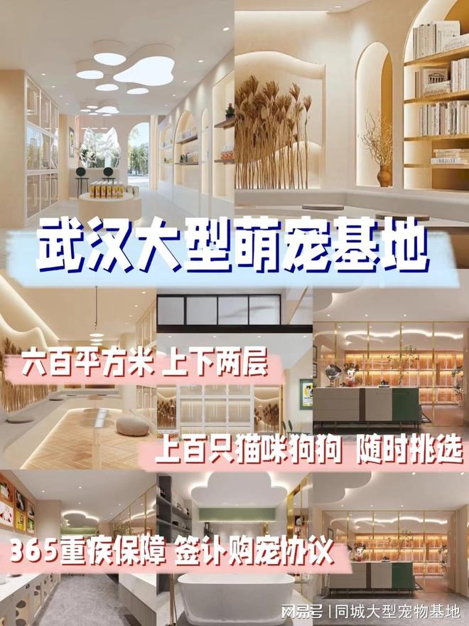 武汉哪里有便宜的猫狗市场？这里专业安全可亲自挑选宠物(图1)