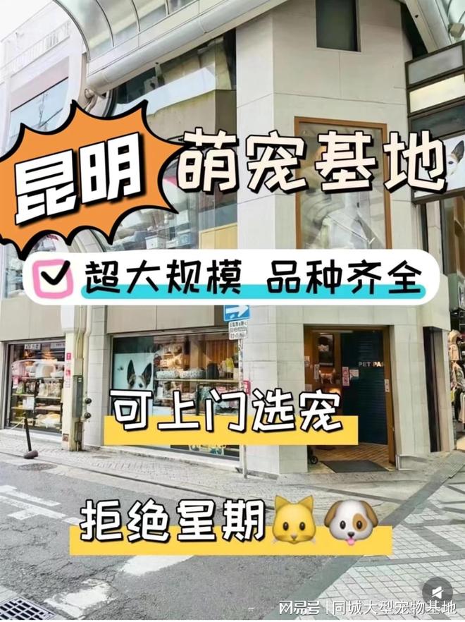 昆明哪里有正规宠物基地？这里买宠物放心还能去实体店挑选(图1)