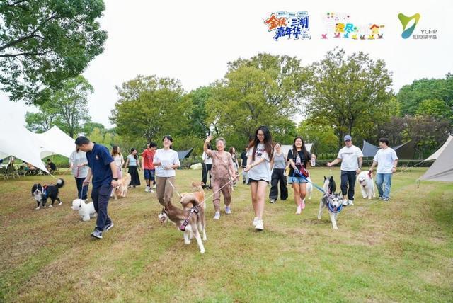 国庆携宠游升温专家支招“毛孩子”出行攻略(图1)