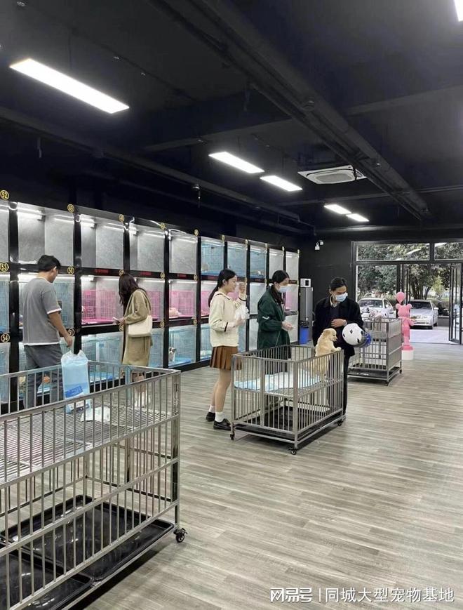 苏州最大的宠物市场在哪里？这里安全可靠能挑选心仪的宠物(图5)