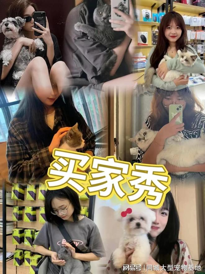 九游体育：杭州最大的宠物市场在哪里？这里安全可靠能挑选心仪的宠物哦(图4)