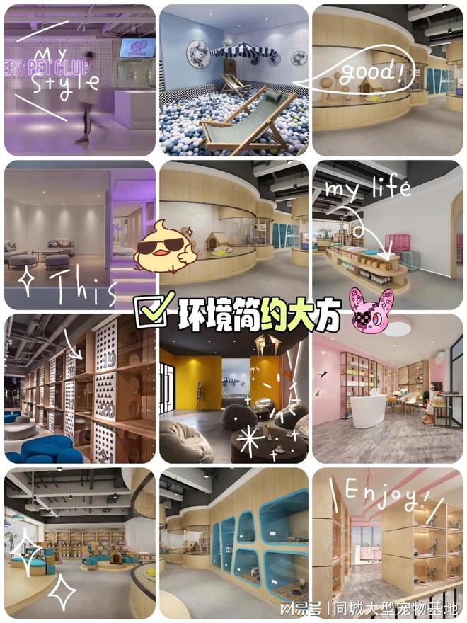 句容哪里买宠物靠谱安全？这儿有实体店可选放心大胆挑吧(图4)