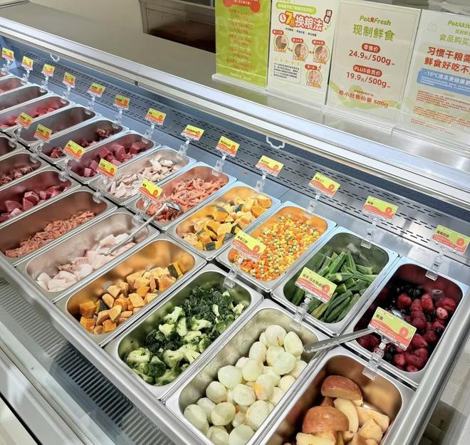 九游app：果然财经｜宠物寄养假期爆满宠物经济赛道“拥挤”暗藏隐忧(图5)