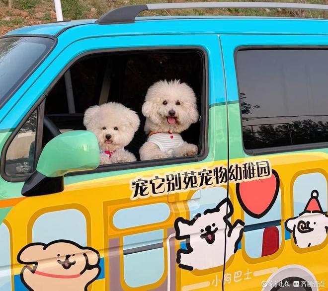 九游app：果然财经｜宠物寄养假期爆满宠物经济赛道“拥挤”暗藏隐忧(图3)