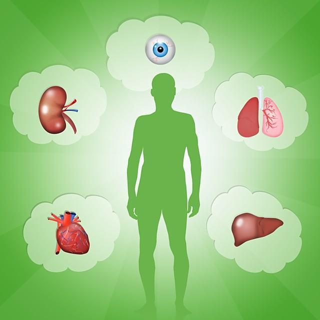 宠物陪伴益处：中老年人养宠物对健康的积极影响(图5)