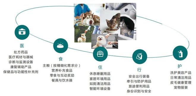 加盟诺贝德解锁宠物医美新蓝海(图11)