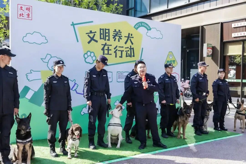 北京第六届“文明养犬在行动”主题宣传实践活动举办(图2)