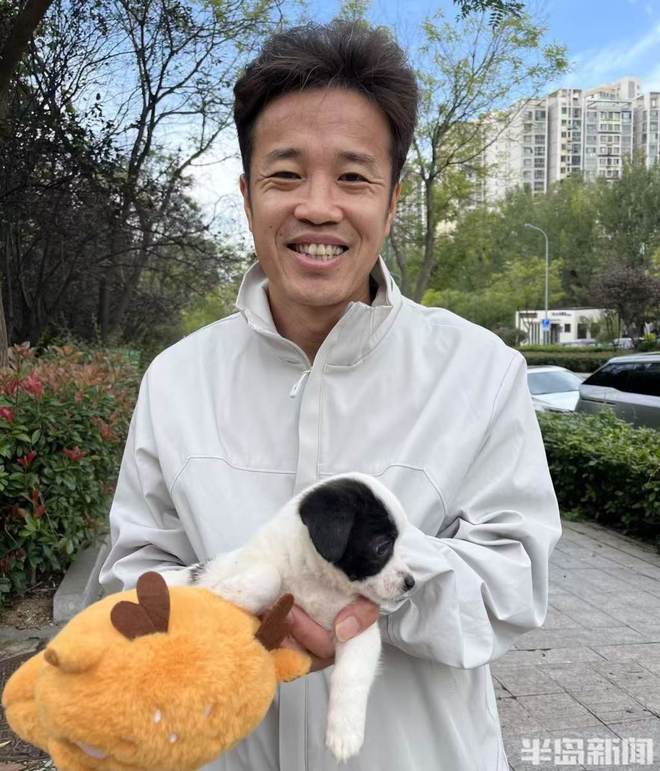 半岛公益｜流浪猫狗数量增多救助压力陡增！流浪动物中心盼援手(图11)