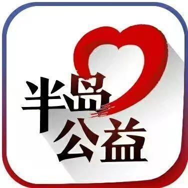 半岛公益｜流浪猫狗数量增多救助压力陡增！流浪动物中心盼援手(图12)