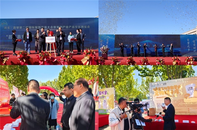 四地联动全域开花Amazing Pet Air引领宠物健康新纪元(图4)