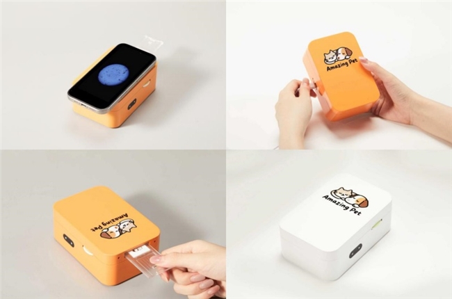 四地联动全域开花Amazing Pet Air引领宠物健康新纪元(图6)