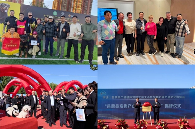 四地联动全域开花Amazing Pet Air引领宠物健康新纪元(图7)