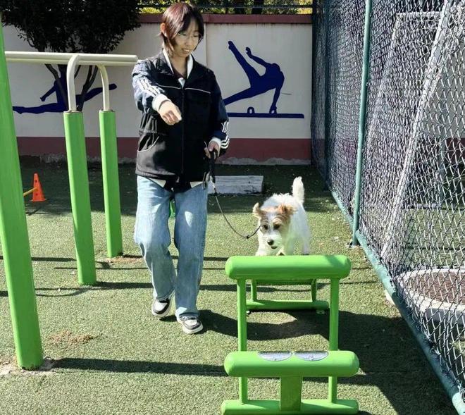 九游官网入口：“汪汪特工队”亮相 服务犬驯养师“入编”驱动行业升级(图3)