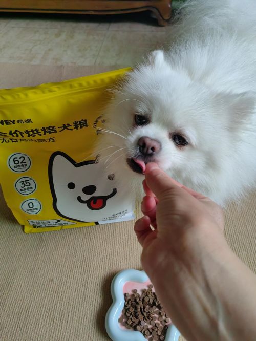 双十一养狗人囤什么粮？自用狗粮囤货分享营养均衡更健康(图3)