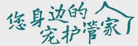 诺贝德宠医美学界的 “全能管家”重构宠物健康与美丽新生态(图5)