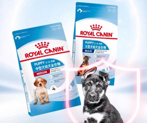 比熊吃什么牌子的狗粮好？狗粮推荐(图10)