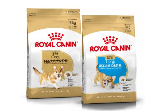 九游app：入华三十载 再赴进博之约！皇家携全生命周期精准营养拥抱生态互惠未来(图3)