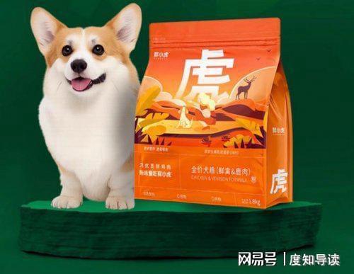 狗粮有营养还是饭有营养？狗粮牌子哪个好(图8)