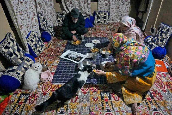 九游体育：宠物也是碳排大户？毛孩子吃喝有讲究三招教你环保养宠(图4)