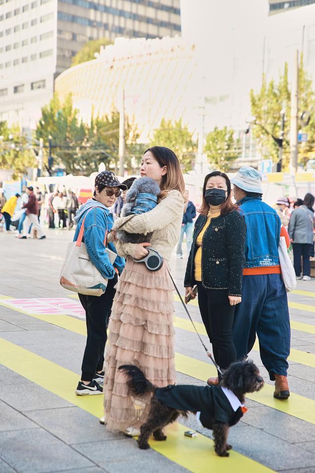 文明养宠萌力全开构建邻里和谐的美好家园(图2)