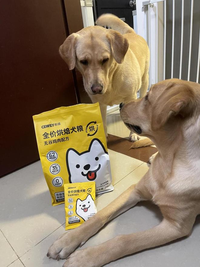 九游体育：换粮就拉肚子？试试希喂烘焙狗粮我家玻璃胃小狗爱惨了(图2)