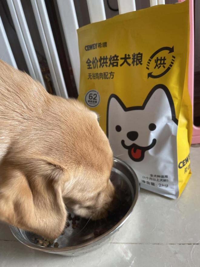 九游体育：换粮就拉肚子？试试希喂烘焙狗粮我家玻璃胃小狗爱惨了(图3)