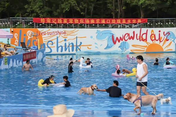 带宠物旅行成了一门生意(图2)