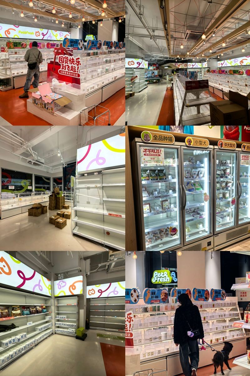 九游app：押宝宠物经济光明现在下场还来得及吗？(图3)