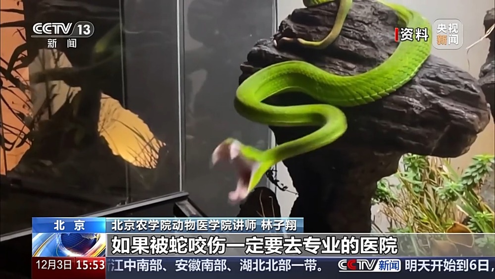 视频丨“异宠”虽潮饲养有道！警惕生物安全风险勿碰法律红线(图6)