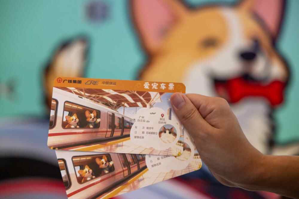 广州白云站开通高铁宠物托运服务首批“毛孩子”安全到站(图2)