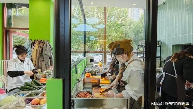 九游app：旺宠官：勾勒宠物全周期服务新蓝图(图2)