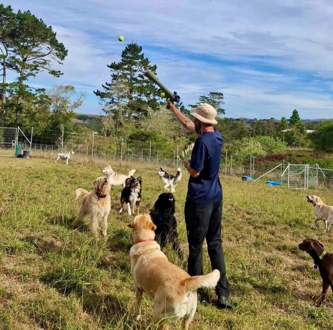 新西兰“专做富人生意”的老牌企业破产！279次投诉、十几万罚款生生拖垮……(图7)